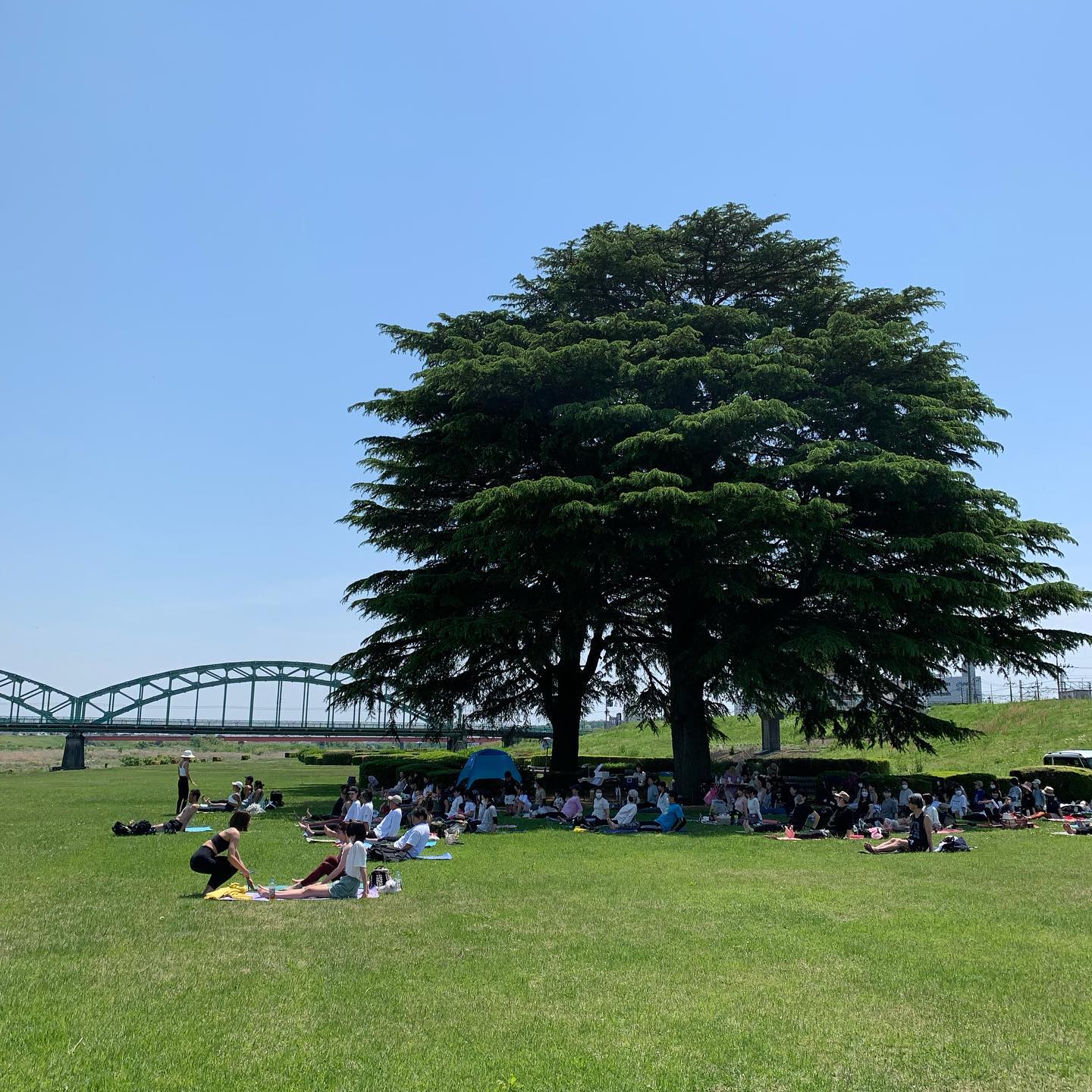今日(もう昨日)は
park yoga様の会場で出店させていただきました

ここ足利なのー？
て言うぐらいの広々とした新緑の中でのyogaは清々しく、皆様楽しんで体を動かしておられました。

yogaの後フルーツサンドもデザートにして下さりありがとうございました。

主催者様、
@ayami.hsgw 様
@kozue.yoga 様

誠にありがとうございました。

いっしょに販売のローフードのBamboo cafeさんの、マンゴーバニラカスタードプリン。
ローフードと言うものをはじめていただいたのですが、美味しくて身体にも良いと言う事で、yogaの後にはピッタリでしたよー。



＃中橋南多目的広場