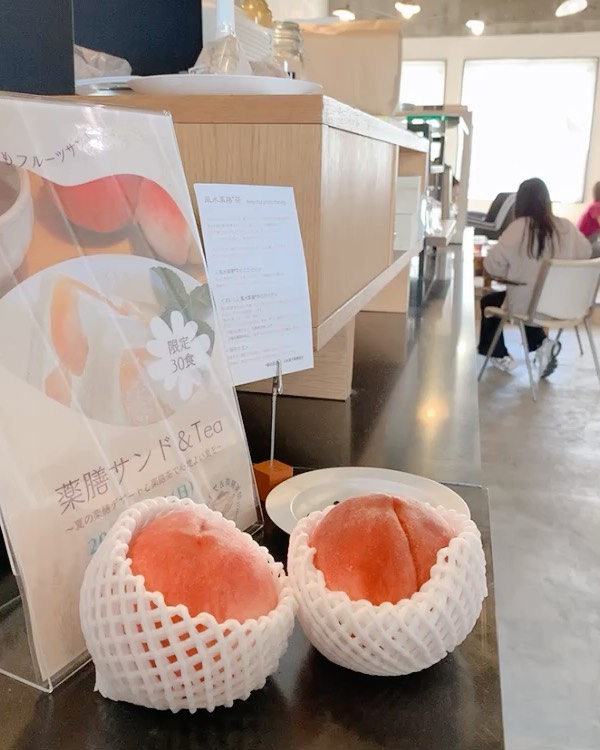 昨日の
薬膳サンド&Tea
〜〜夏の薬膳と薬膳茶で心地よい夏を〜
お越しいただきありがとうございました。
風水薬膳︎茶師yoocooさんと、フルーツサンドと薬膳茶で何かお役に立てないかと生まれた企画。
@yococoro_karada_spirit 
果物の中でも珍しい、温性の桃と、身体を潤す黒豆のブレンド茶。
猛暑で暑くてクーラーで冷えて、疲れた心身を癒していただく。
地元足利市のカフェ、montemps様のご協力をいただき、開催する事ができました。
@montempscafe 

ゆっくり出来ましたでしょうか？フルーツサンドや黒豆茶のお味はいかがでしたか？体調でタイプを見る、ミニセッションはどうでしたか？
お帰りになるお客様の笑顔が、私たちの最高の癒しでした。
また秋も冬も春も開催できたら良いなぁと思っています。

またお会いできる日を楽しみにしております。

Special thanks
樹上完熟どり無袋栽培
こだわりの桃

栃木県内唯一の製粉会社

足利市で知る人ぞ知る
落ち着いたカフェ。
モーニングでおなじみ、
ランチのカレーも！


#風水薬膳︎茶