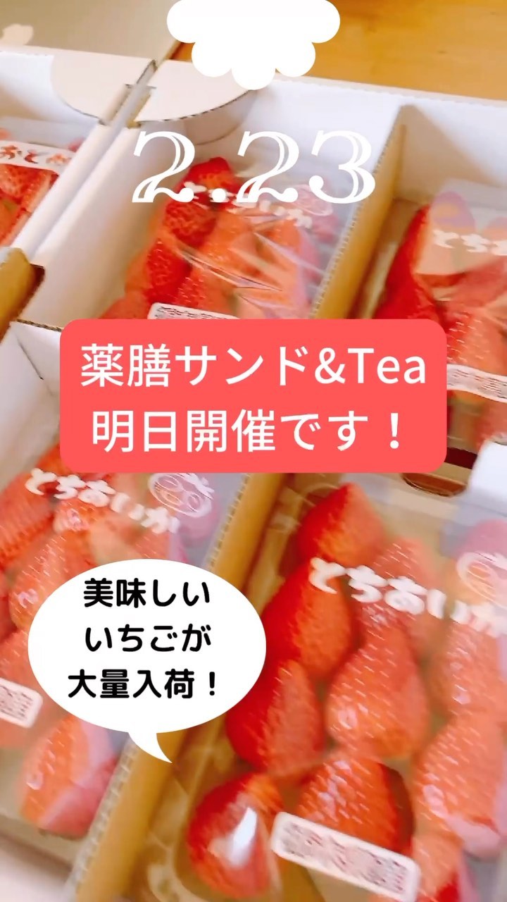 こんにちは。 フルーツサンドと食パンの店  まいにちしあわせです。 いつもありがとうございます。

薬膳サンド&Tea明日開催です。
美味しいとちおとめととちあいか、
入荷しました。明日は食べ比べできますよ。薬膳茶のフルーツティーとも相性ばつぐんです！

ご予約の方はお気をつけてお越しください。
15時以降は予約なしでご案内できそうです。16時からがおすすめです。
街歩きの休憩にも。
モンタンさんのメニューはございませんが、お気軽にお入りくださいね。
お待ちしておりまーす。

ご予約お問い合わせは
Googleフォームから
https://forms.gle/xJpnZNHc62nmwNMz9

ーーーーーーーーーーーーーーーー
薬膳サンド&Tea 春
2023.2.23(木.祝)
14:00〜19:00
montemps(モンタンカフェ.足利市)

風水薬膳︎茶師yoocooと、フルーツサンドと食パンの店まいにちしあわせが、皆様に心地よい春をお過ごしいただけるよう、春の養生を元にデザートメニューをコラボ。
この春限定の薬膳サンド＆Teaをお楽しみください！

春の養生のポイントは、冬の間にためこんだ不要なものを体外へ排出し、解毒機能をもつ「肝」の働きを高めること。「苦味」「酸味」が「肝」のはたらきを助けます。

［とちおとめととちあいか食べくらべ。よもぎパンといちごのフルーツサンド］
いちごはビタミンCやアントシアニン、カリウムが豊富。薬膳では胃を健康にし、体の毒素を取る役割があると言われています。
よもぎは春の薬草。身体を温め、血液浄化、増血、血の巡りをよくするはたらきをします。
「苦味」のよもぎをパンに練り込み、「酸味」のとちおとめととちあいかをMIXしてサンドしました。添えた2種のいちごの食べくらべも！味の違いを楽しんでみてください。

［風水薬膳︎茶］

今回はフルーツティーベースです。五行(木火土金水)で、
春は「木」のグループ。
誕生日が「木」の人達は、
体調に出やすい季節です。

そこで春の季節と同じ
「木」の薬膳を、ふんだんに使用した【木のフルーツティー】を用意しました！
とってもいい香りがします

春と関連のある味覚は「酸味」
春と相性の良い「ベリー系」のブレンドになっております。

・ハイビスカス
・ローズヒップ
・ブラックカラント
などなどブレンド。

更に、春は自律神経系のバランスも出やすいとき！
本格的な春が来る前に神経系のバランス調整と、冬から春に向かう際の身体の疲れをサポートしてくれる和漢ハーブも追加しました

ご自身のこころと体と向き合って、癒しのひと時をお過ごしください。お待ちしております。

price¥1200
(フルーツサンドとお茶のセット販売となります)

【ご予約】
ご予約、お問い合わせは
Googleフォーム
https://forms.gle/xJpnZNHc62nmwNMz9

または
@mai_nichi.shiawase
@yococoro_karada_spirit
(どちらでも大丈夫です)
DMでお願いいたします。

①お名前
②人数
③来店希望時間
14時、15時、16時、17時、18時
(満席の場合ご希望に添えない場合がございます)

以上をお書き添えの上、
お送り下さい。追って返信いたします。

#風水薬膳︎茶