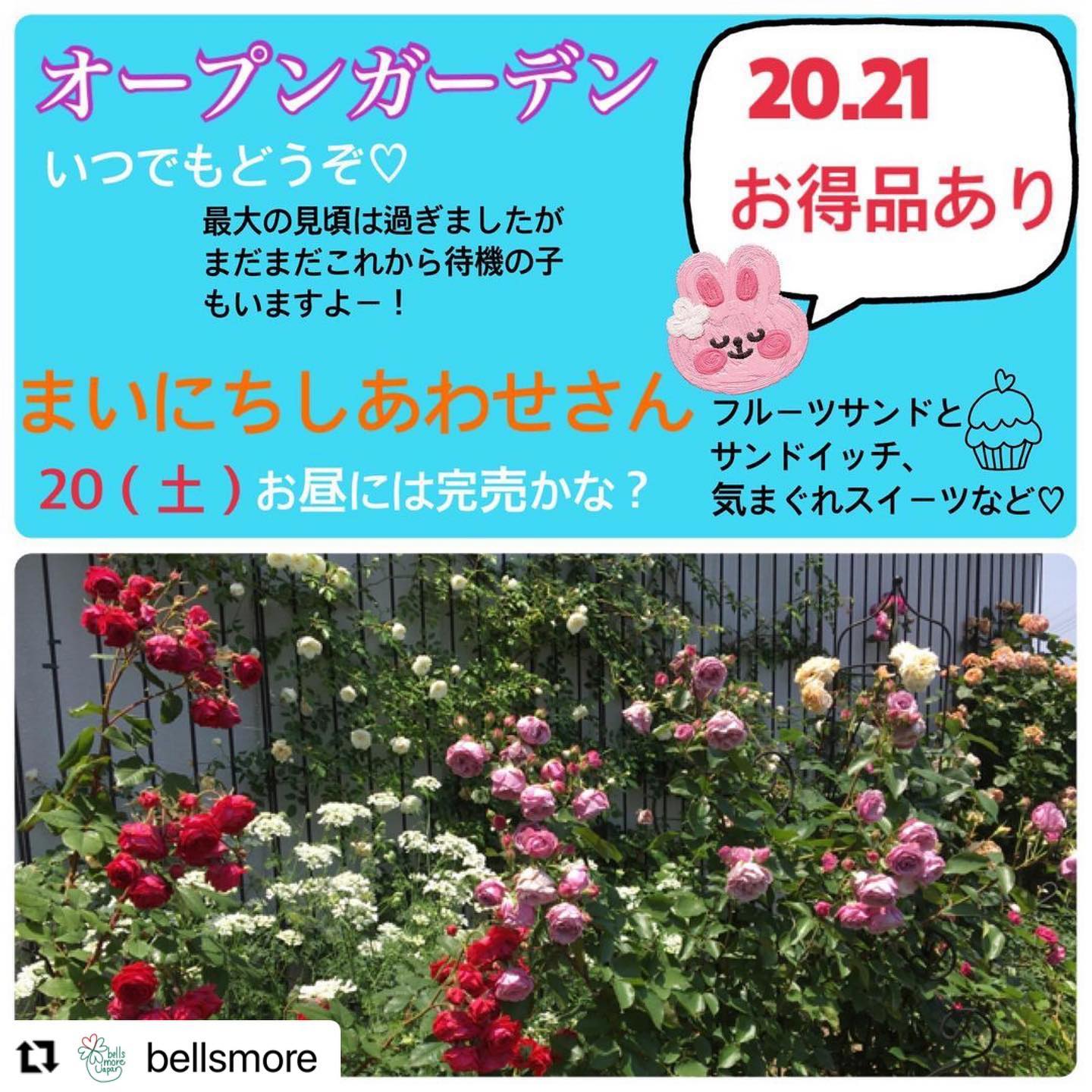 こんにちは。 フルーツサンドと食パンの店  まいにちしあわせです。 いつもありがとうございます。

ベルツモア様より出店のご紹介いただきました。ありがとうございます。
5/20(土)9:00〜16:00
売り切れないよう頑張って作ります！

栃木県産小麦シリーズ
久しぶりにスコーン出します！新作アールグレイも。マスカルポーネクリームとジャムを追加でセットできます！
限定力丸くんたまごサンドもお買い逃しなく。
ガーデンでバラを眺めながらサンドやスコーンでひと息つくのもおすすめです。
皆様のお越しをお待ちしております。





@bellsmore with @use.repost
・・・
オープンガーデンと即売会

いつでも大解放なベルツモアガーデンですが、

今週の土日も、スタッフ待機でオープンします。

意外とバラ達、もってくれてます♡

サイズが合えばお得なお品、ちょこちょこお出ししていますが、今週は少し頑張って出しますね。

定番品もお得ですので、壊れないですから希望に合うものを見つけてくださいね。

お待ちしています♡