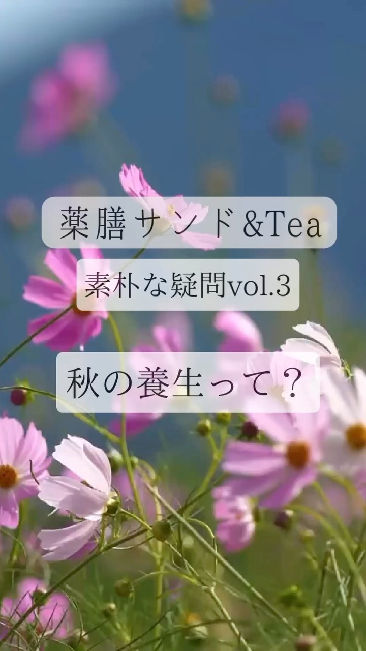 薬膳サンド&Tea 秋
いよいよ明日開催です。
14:00以降は当日席ご用意できます。飛び込み大歓迎、テイクアウトもご用意できますので、会場まで直接お越しください。
ご予約の方はご予約のお時間にお待ちしております。
駐車場はhikarinomaさま前に
ございます。
さて、秋の養生について動画をリメイクしました。意識するだけでも良いのでお付き合いくださいね〜。

薬膳サンド&Tea 秋
2023.10.17(火)
13:00〜16:00
今回は場所が変わります。
レンタルスペースhikarinoma(ひかりのま・足利市西新井町3094光庵さん西側)
@hikarinoma_tochigi
空気まで清々しく感じる
木の温もりのある隠れ家のような空間です。

風水薬膳︎茶師yoocooと、フルーツサンドと食パンの店まいにちしあわせが、皆様に心地よい秋をお過ごしいただけるよう、秋の養生を元にデザートメニューをコラボ。
この秋限定の薬膳サンド＆Teaをお楽しみください！ 

ーーーーーーーーーーー
秋の養生のポイントは、
「肺」と「呼吸」。
秋は乾燥した空気が肺から入り、鼻、喉、皮膚などに影響します。
喉も痛くないのに、「なんだか咳が出る」その様な「空咳」が出たら要注意！
身体からのサインです！

冷えるものや、
冷たい風にあたり過ぎないように。
1枚羽織るものを常備して。

ゆったりした呼吸や深呼吸をいつも以上に意識して行い、潤いを与えてくれる食材で養生しましょう！

ーーーーーーーーーーー
秋の薬膳は、「白い食材」が
手助けしてくれます！

潤いを補うには、果物がオススメ。
ブドウ、梨、りんごなど、旬の果物は、身体に潤いを与えてくれます！

今回の薬膳サンド＆teaは、
巡りと潤いがテーマです！！

［赤のりんごと白の梨の潤いシャキシャキサンド］
☆梨と紅茶クリームのサンド
☆りんごとフレッシュチーズのオープンサンドはちみつがけ
薬膳では梨とりんご、はちみつは潤い補給の食材。梨サンドは全粒粉パン、りんごサンドは米粉パンで素材の違いをお楽しみください。　　　

［風水薬膳︎茶］

今回の薬膳茶は巡りをキーワードに、ブレンドしました。

血流の巡りを促して、
肩こりや冷え性の改善をサポートする、
とても香ばしくて美味しいブレンドです。

小さなお子様から、
ご懐妊されている妊婦様まで、
幅広い世代の皆さまに、
お飲みいただける薬膳茶です！

ハブ茶
ウーロン茶
玄米
熊笹
みかんの皮
などなどをブレンド。

今回だけのスペシャルとして
「薬膳クラフトコーラ」を
ペアリング。

暖かい薬膳茶と、薬膳クラフトコーラが
1杯づつ付いています！

薬膳クラフトコーラは、
出雲の漢方薬局が作った身体に優しいクラフトコーラの素を使用。10種類ものハーブや和漢ハーブをブレンドしています。

シナモンや、なつめの実など、身体を温めるスパイスなどでブレンドされており、冷たいコーラなのに飲むと自然と身体ポカポカになってきます！

お彼岸を過ぎて少しづつ秋の季節の気配が訪れております。

身体を冷やさない様に、
しっかり養生して、
次に来る冬の季節も快適に過ごせるように！！

冷たいコーラと、
暖かい薬膳茶の両方が楽しめる
今回のこの機会をお見逃しなく！！

ご自身のこころと体と向き合って、
癒しのひと時をお過ごしください。
お待ちしております。　

ーーーーーーーーーーーー　
　price¥1200
(フルーツサンドとお茶のセット販売となります)

【ご予約】
@mai_nichi.shiawase
@yococoro_karada_spirit
(どちらでも大丈夫です)
DMでお願いいたします。

①お名前
②人数
③来店希望時間
13時、13時30分→満席
14時、14時30分、
15時、
(満席の場合ご希望に添えない場合がございます)

以上をお書き添えの上、
お送り下さい。追って返信いたします。

#風水薬膳︎茶