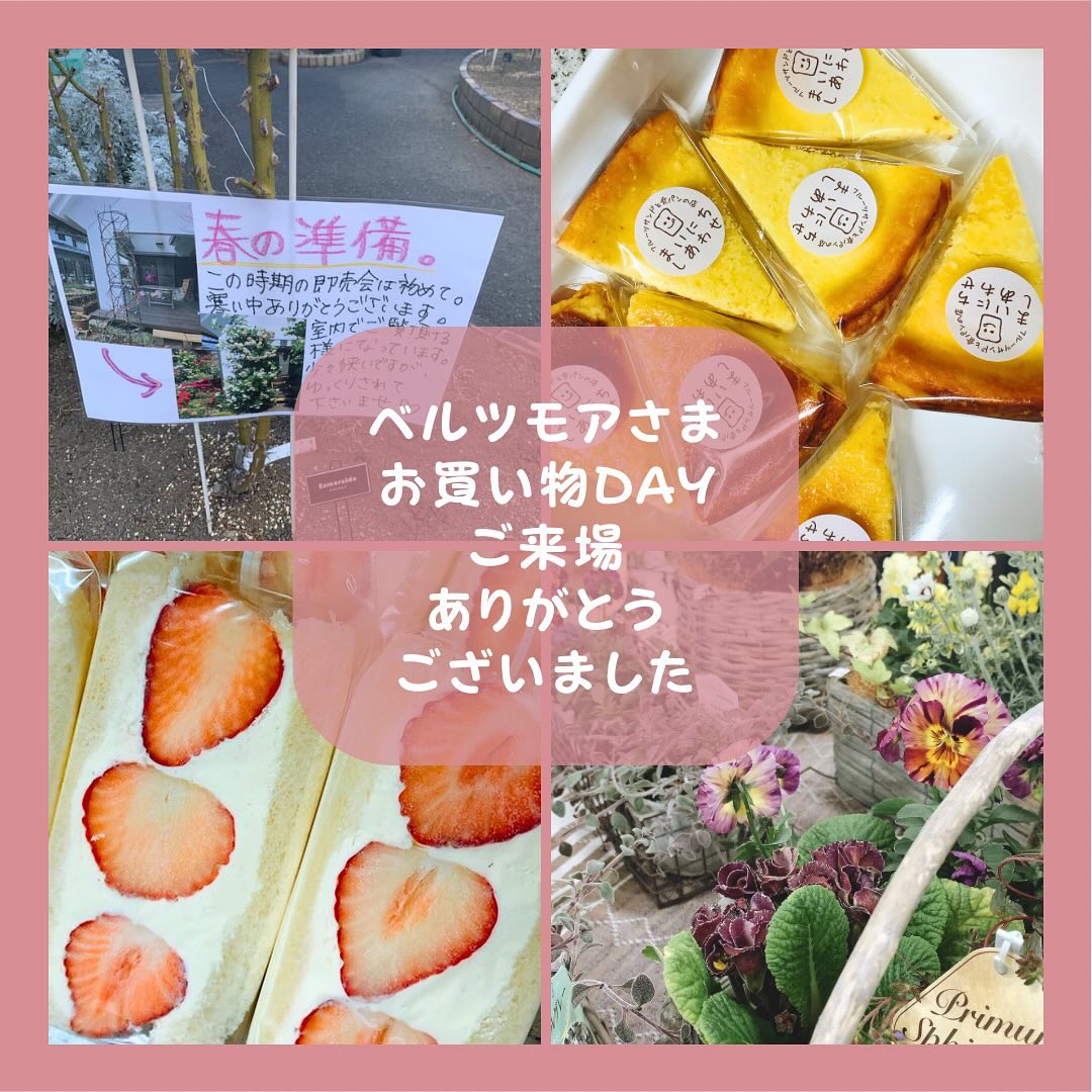 こんにちは。 フルーツサンドと食パンの店  まいにちしあわせです。 いつもありがとうございます。

週末はベルツモアさまお買い物DAYにご来場いただきありがとうございました。

ベルツモアさまによると、冬の即売会は初開催との事でしたが、春夏のガーデニングの準備は正に今！ということで、春秋に負けず劣らずお客様のアツさがトレリスやオベリスク、新商品のスタンドやかっちゃんの土が次々と積み込まれ、山庭さんの草花たちにお話の花が咲きます賑やかでアツアツの即売会でしたよ〜。
当店も、楽しいお買い物の雰囲気のお手伝いが少しだけできたなら幸いです。ありがとうございました。

お友達がお家を建ててお庭の参考に来てくれたり、出店をきっかけに再会できたり、またご縁が繋がり嬉しかったな〜。

また春の即売会でお会いできたら嬉しいです️ベルツモアさま、かっちゃん、山庭さんありがとうございました。

次回出店は
2/11(日) 9:00〜14:00
たかうじ市(足利鑁阿寺)です！

後ほど詳細アップいたします。
