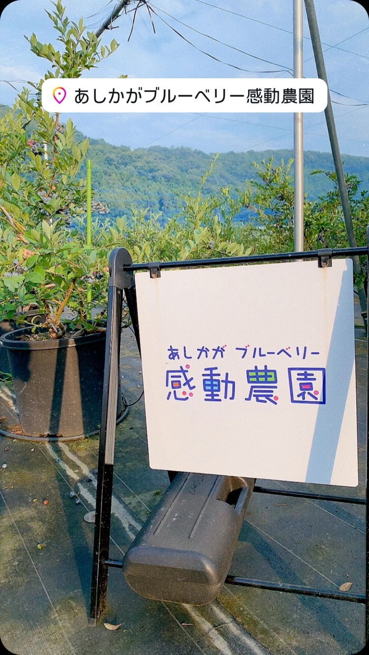 ブルーベリーサンドの品種えらび