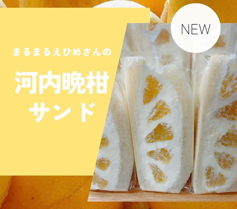 こんにちは。 フルーツサンドと食パンの店  まいにちしあわせです。 いつもありがとうございます。

通2丁目で開店してから2週間ほど経ちました。連日たくさんのご来店をいただきありがとうございます。

またゴールデンウィークの変則お休みの間にご来店いただいた方、大変申し訳ございませんでした。今週より月曜日、火曜日定休日となりまして、水曜日から通常営業しております。

平日は割とゆったりとした流れで、
製造しながらワンオペで営業しております。
季節のフルーツサンド、
栃木県産小麦のゆめかおり食パン
栃木県産小麦の焼菓子なども随時販売しております

お取置き、ご予約も承っております。
今までインスタのDMを使用しておりましたが、営業中や製造中は見逃してしまいますので、営業時間内にお電話
0284-55-4252(さだかた)までお願いいたします。
お客様がいらっしゃる時は、出られないこともございますので、何卒よろしくお願い申し上げます。

さて！明日よりお待たせいたしました。
まるまるえひめさんより直送
@marumaru__ehime 
和製グレープフルーツ
河内晩柑サンドが始まります。
ファンも多い柑橘で、香りが良いです
ぜひこの機会に食べてみてくださいね