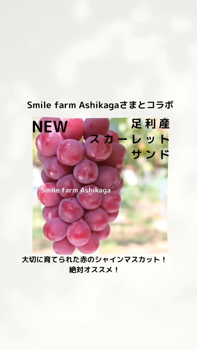 Smile  farm Ashikagaさまの
スカーレットサンド
シャインマスカットサンド
8/20(水)〜始まります！



スカーレットサンド食べてみたいですか？