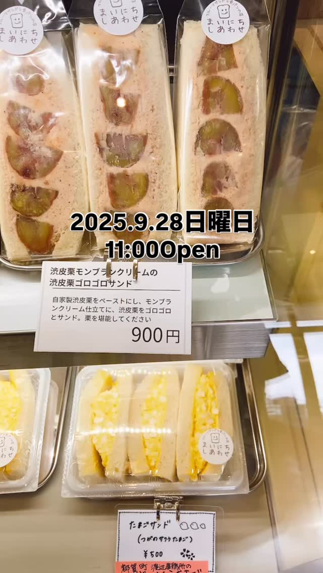 2025.9.28日曜日
9月の営業も今日で終わり！早いです！
秋のパンまつりin足フラも最終日
ナガノパープル本日最終日
たべのがしなく！

さて足利まちなかは
で賑わってる…と思います！
歩き疲れたら、イートインできるので
どうぞ当店もご利用ください。
そしてそして、マルシェに
出遅れて完売続出の時は
まいにちしあわせがありますよ笑
ぜひ！お立ち寄りくださいませ♪

まいにちしあわせ