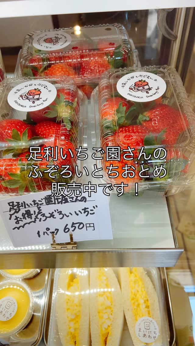 足利の旬の果物ぎっしり 
食パンが美味しいフルーツサンド 
『まいにちしあわせ』です
いつもありがとうございます

1/24土曜日
まったりと営業中です
足利いちご園さんのふぞろいいちご
朝どりで販売中です！

プリンもサンドもたくさんあります
食パンは角食は残りわずか
パンドミはたくさんあります
皆様のお越しをお待ちしております