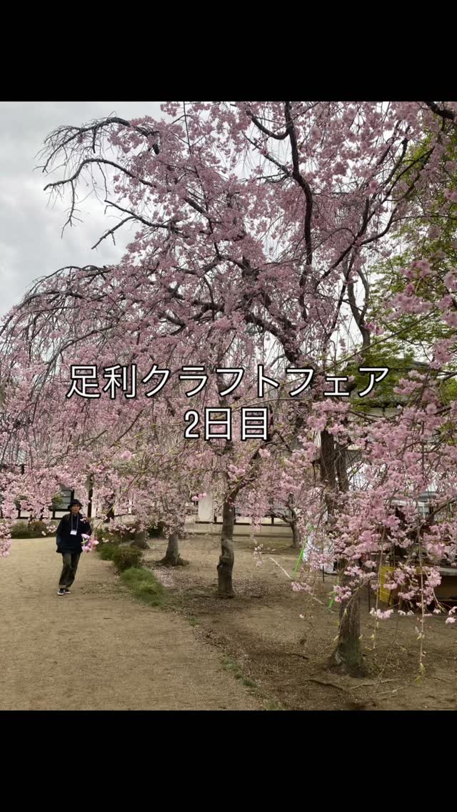 足利の旬果ぎっしり  食パンが美味しいフルーツサンド 『まいにちしあわせ』です いつもありがとうございます

足利クラフトフェア2日目
出店しております
たくさんのご来場ありがとうございます
店舗はお休みです

16:00まで！
お楽しみください