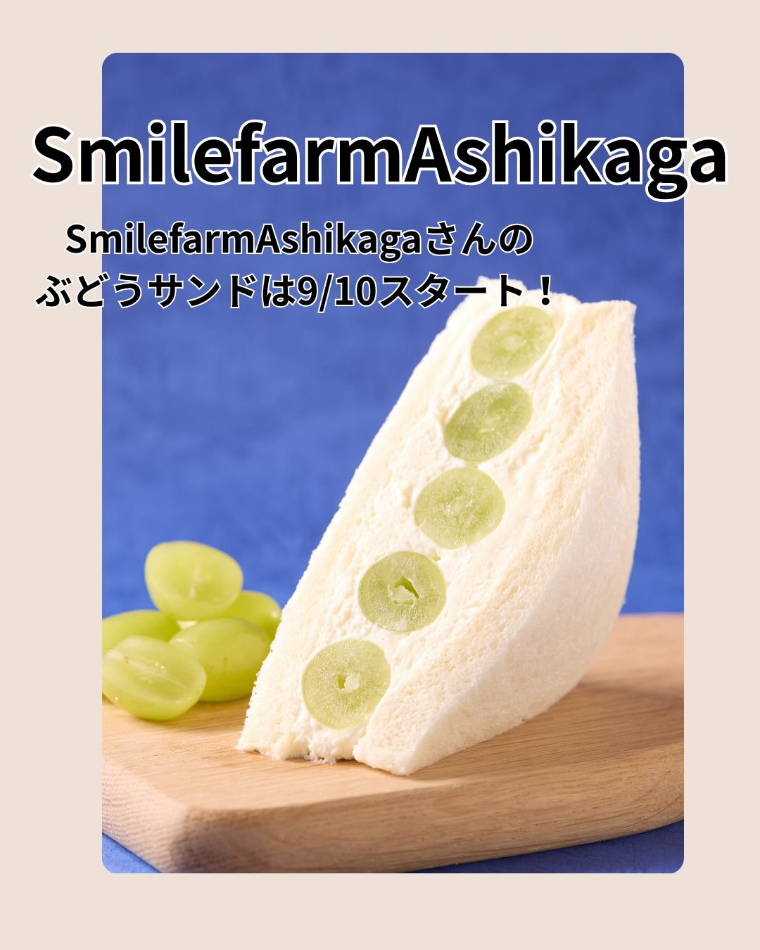 足利市大前町
SmilefarmAshikagaさんの
@smilefarm_ashikaga 
完熟、減農薬栽培の
シャインマスカット
ナガノパープル
スカーレット
を使ったフルーツサンド
販売スタートしました
初日はシャインマスカットサンド
3種のぶどうサンドから！
土づくりからこだわった
美味しい地元のぶどうを
ぜひ味わってみてください！
